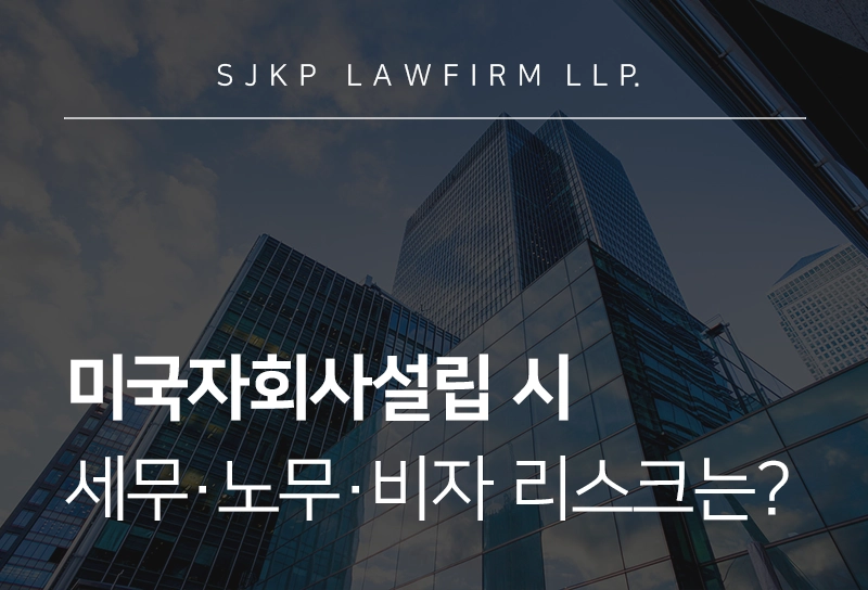 미국자회사설립 | 2026년 기준 미국 자회사 설립 절차·분야별 리스크