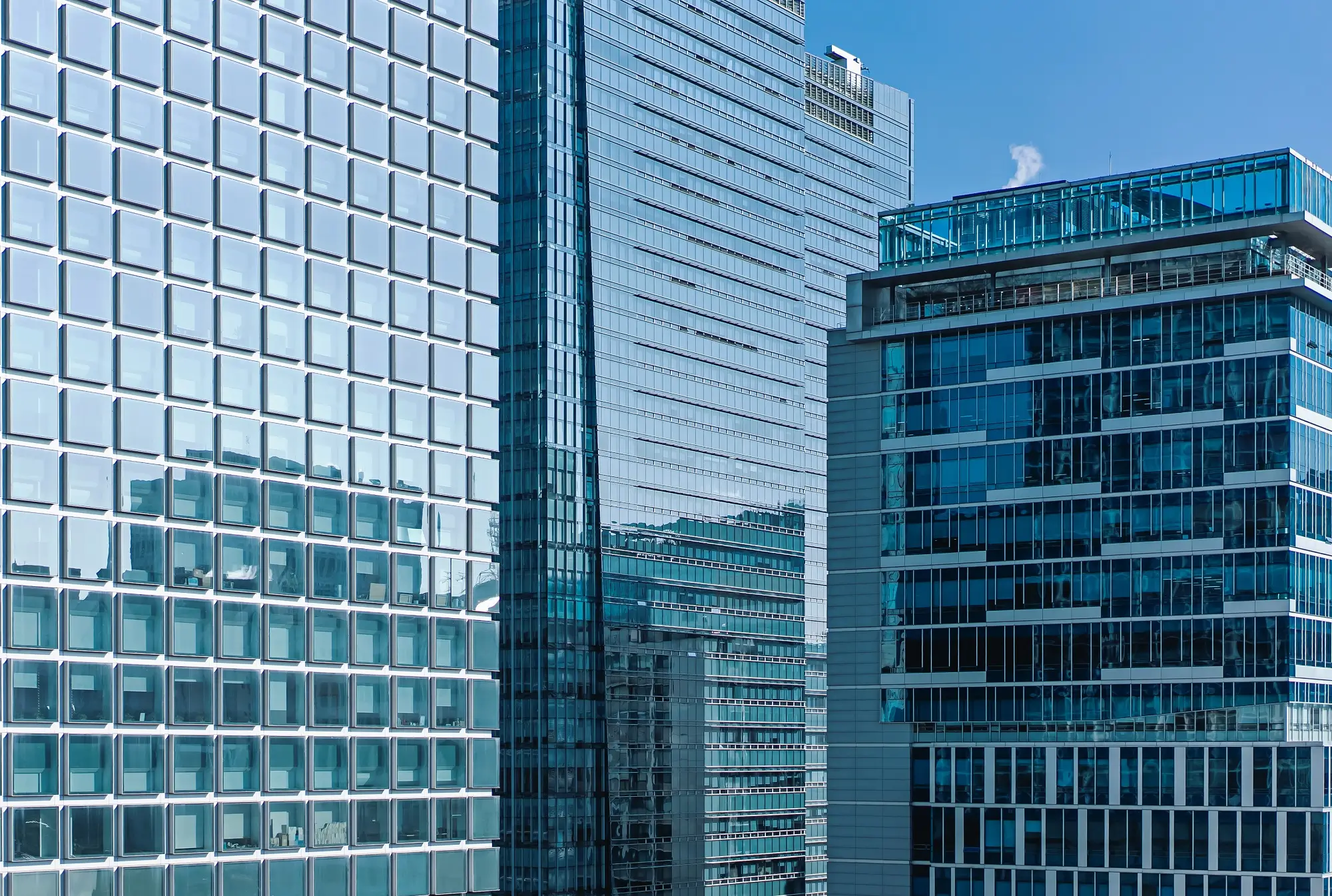 법무법인 대륜 기업분할 개념 설명 분야