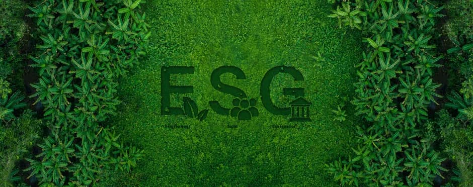  ESG문제 | Omnibus I 채택의 의미