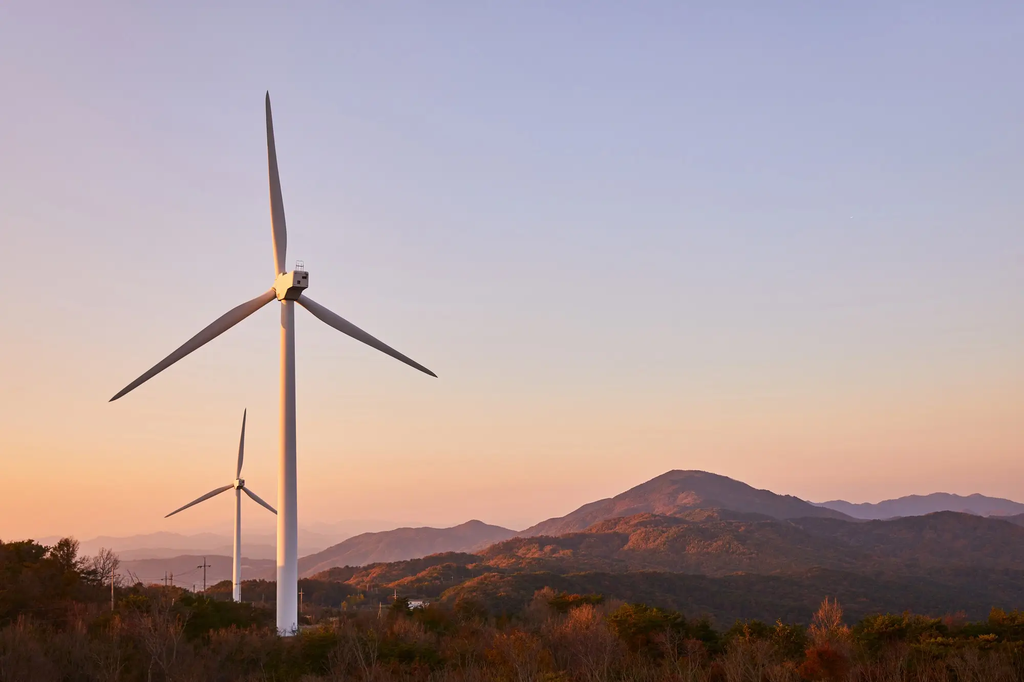 환경범죄 | 처벌 강화와 기업 리스크 확대