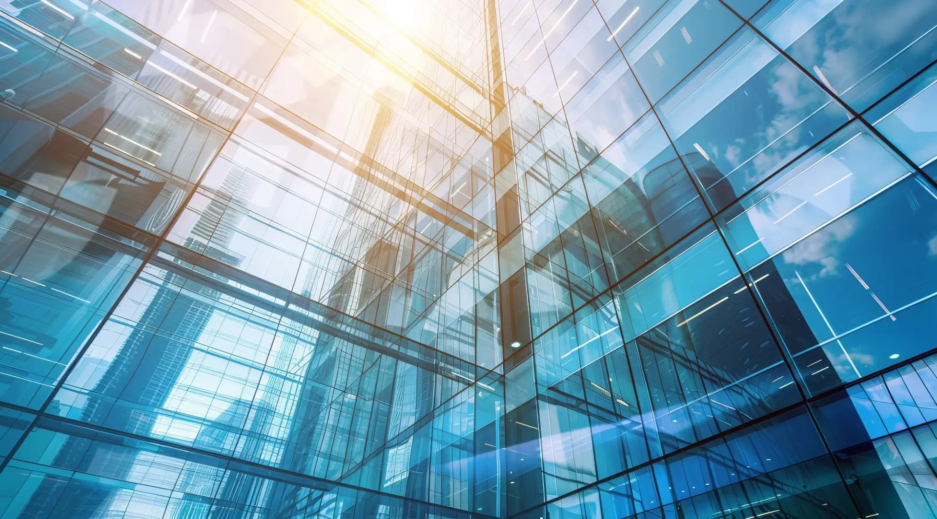 법무법인 대륜 법인설립 정의 내용