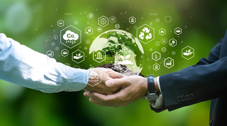 ESG경영 지배구조, 실사 리스크 자문