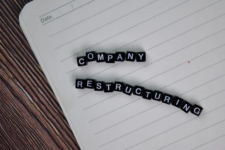 기업청산 | 법률 조력의 중요성과 실무적 대응