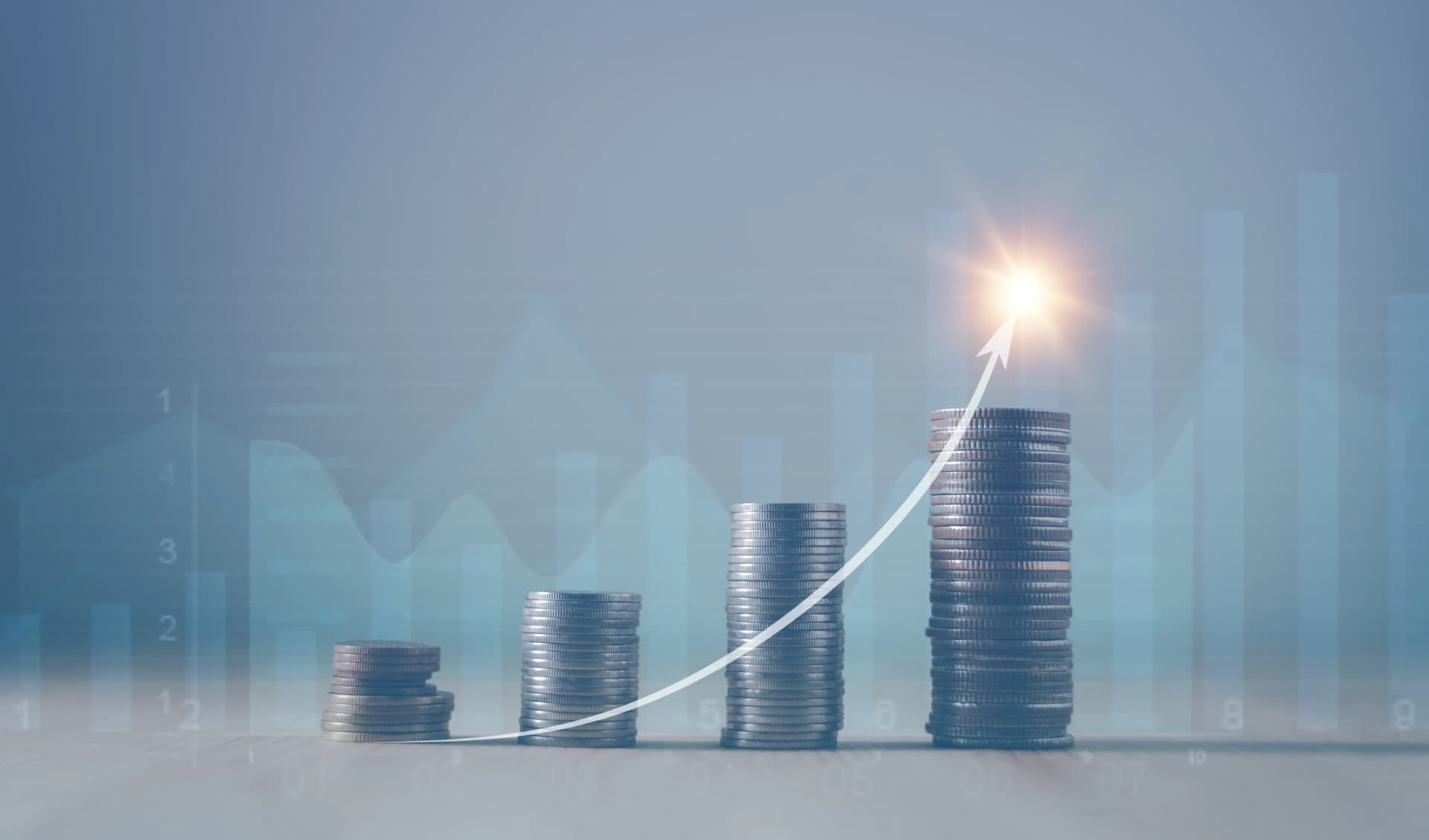 IR | 주요 IR 활동과 운영 방식